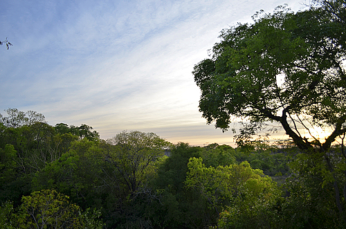 Lightbox Image